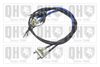 QH_BC3626.JPG