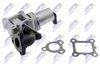 EGR-KA-301_2-WM.JPG