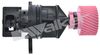 240-1099_4.JPG