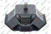 539550.JPG