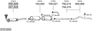 SYS13050.JPG