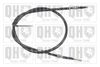 QH_BC3485.JPG