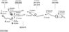 SYS11456.JPG