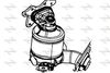 P9302CAT.JPG