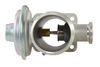HELLA EGR Valve 6NU 010 171-921