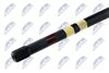 ZWT-CT-014_2-WM.JPG