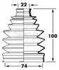 BCB6015_291984.JPG
