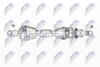 NPW-RE-194_9-WM.PNG