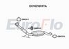 ecvo1051ta.JPG
