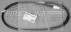 FKB3447_1311436.JPG