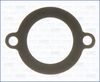 00298800.JPG