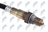 ESL-PL-008_2-WM.JPG