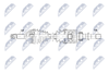 NPW-NS-171_9-WM.PNG