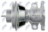 EGR-CT-011_3-WM.JPG