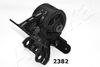 GOM-2382_1.JPG