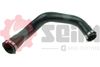 981288.JPG