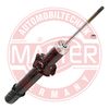 317137-PCS-MS.JPG