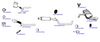 OP-EXSVG278_20260529081903.JPG