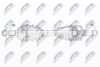 NPW-PE-057_9-WM.PNG