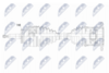 npw-fr-196_9-wm.PNG