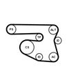 CONTINENTAL CTAM Water Pump + V-Ribbed Belt Kit 6PK1870WP1