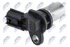 ECP-TY-018_2-WM.JPG