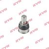 KYB-KBJ4376.JPG