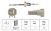 04_LGS7281_5487917.JPG