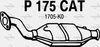 P175CAT.JPG