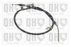 QH_BC2994.JPG