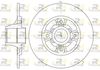 6073-00-MODEL.BMP