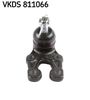 VKDS 811066.JPG