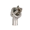 Termostat, chladivo TH69880G1
