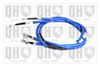 QH_BC3653.JPG