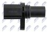 ECP-MS-000_3-WM.JPG