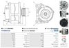 A0521(SEG)_256960.JPG