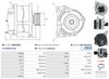 A0660(SEG)_256960.JPG