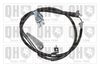 QH_BC4242.JPG