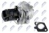 EGR-FR-001_3-WM.JPG