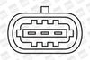 ZS036_1394960.JPG