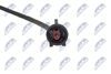CCS-FT-001_3-WM.JPG
