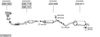 SYS06374.JPG