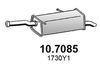10.7085_1.JPG