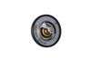 Termostat, chladivo 725174