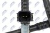 BPP-CT-011_6-WM.JPG
