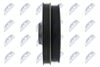 RKP-MS-006_3-WM.JPG