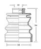 BCB2103_234807.JPG