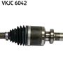 VKJC 6042_3.JPG