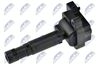 ECZ-ME-006_2-WM.JPG