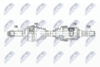 NPW-NS-165_9-WM.PNG